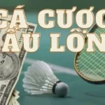 cach choi ca cuoc cau long 2 20251115 135340 3